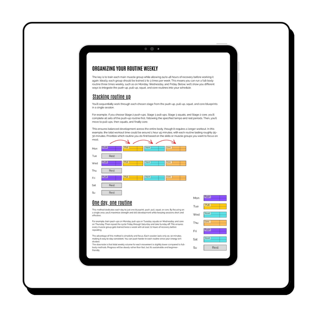 BuffBird's Ultimate Calisthenics Guide (DIGITAL)