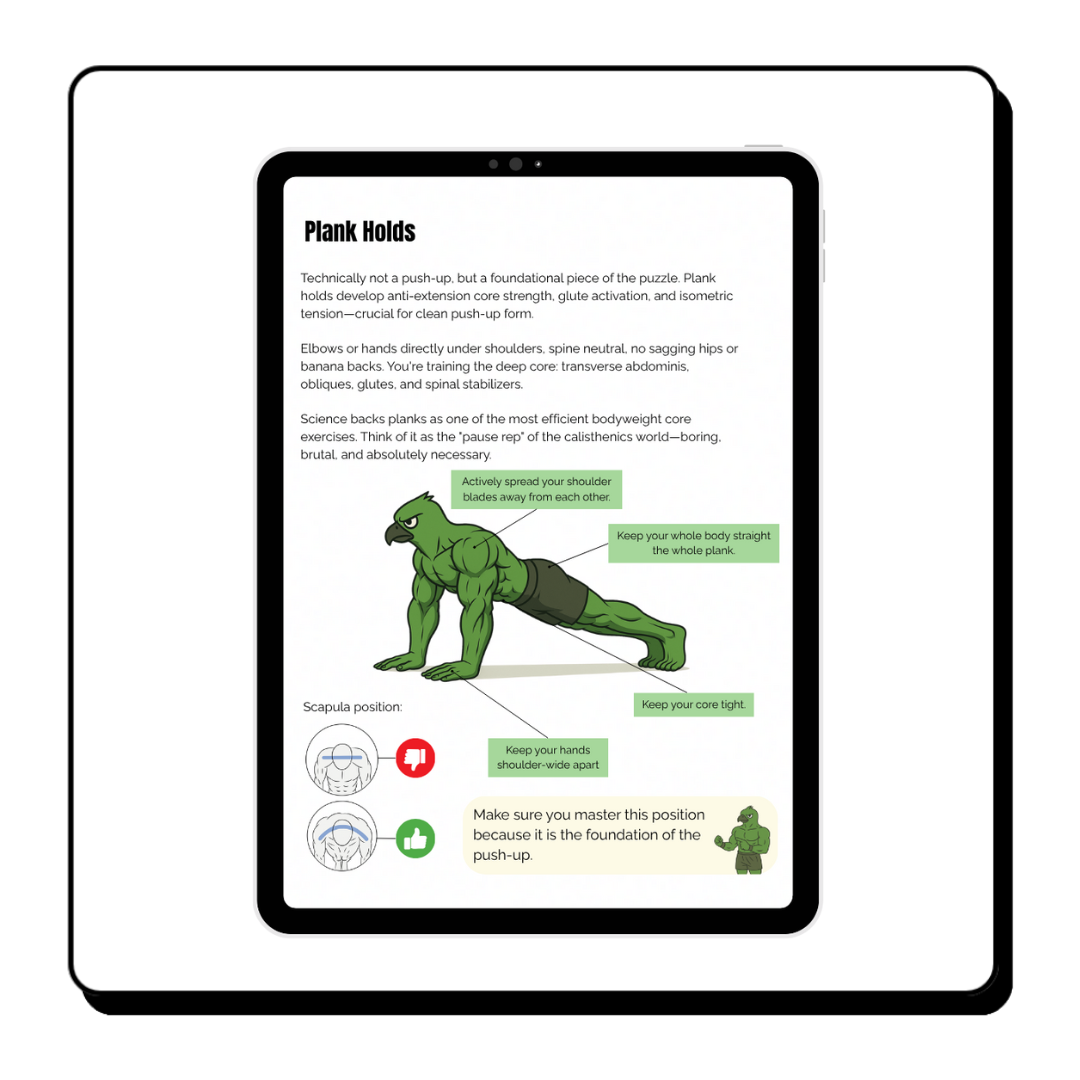 BuffBird's Ultimate Calisthenics Guide (DIGITAL)