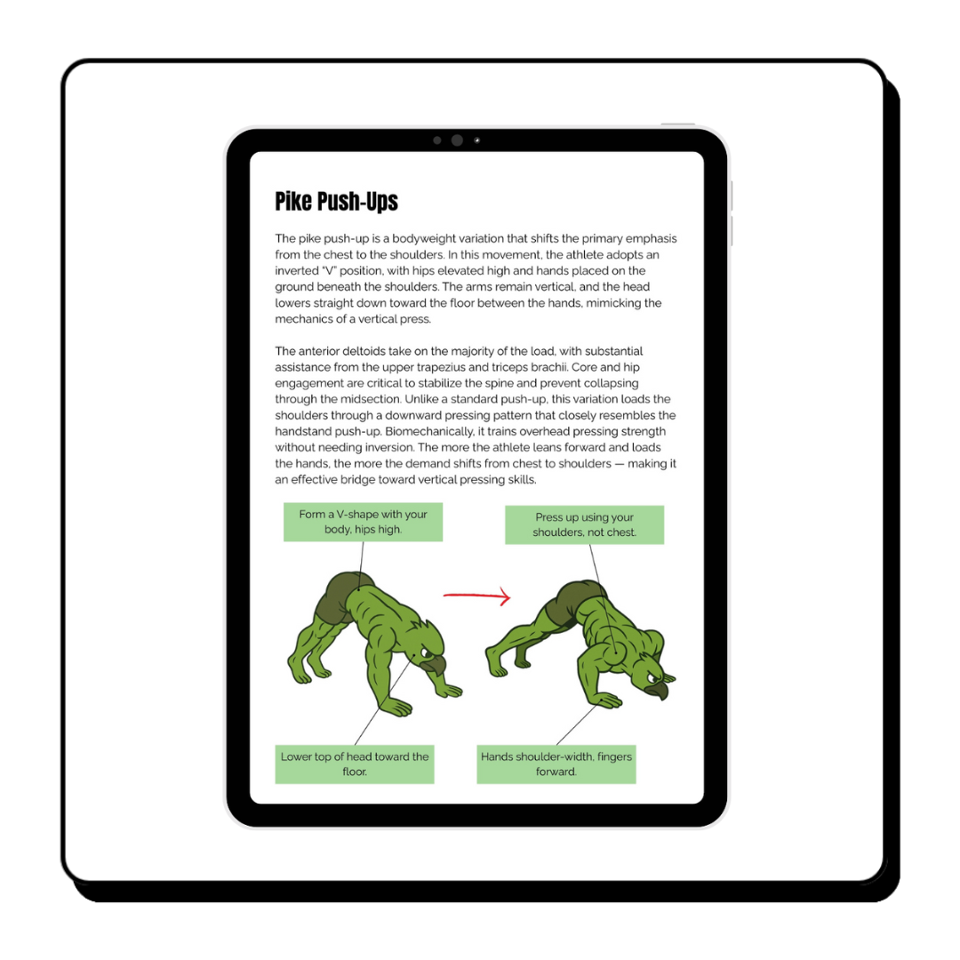 BuffBird's Ultimate Calisthenics Guide (DIGITAL)