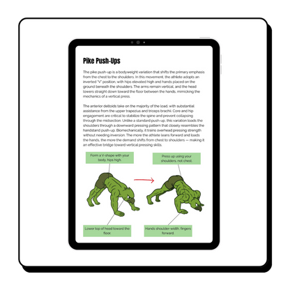 Beginner To Pro Push-Up Blueprint (DIGITAL)